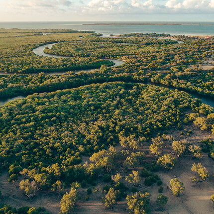 A meandering river surrounded by greenery leads to the sea