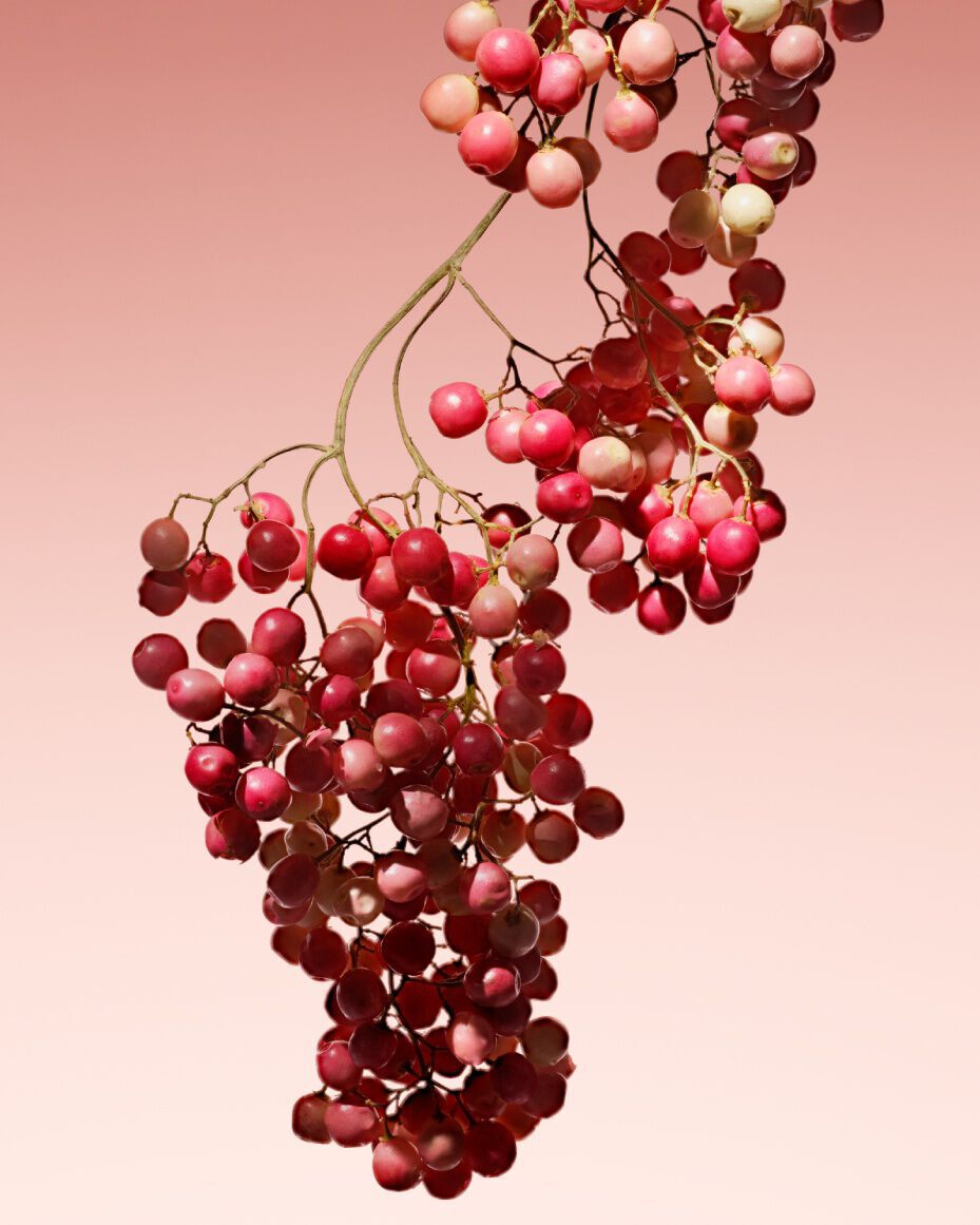 ARMANI/PRIVÉ Rouge Malachite Eau de Parfum | Armani beauty