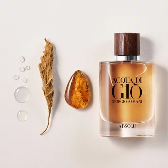 Bottle of Acqua di Gio Absolu Fragrance for Men next to Marine notes, Labdanum, and Patchouli