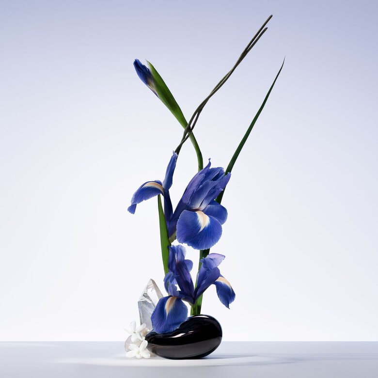 Ikebana showcasing iris flowers and white musk in a dark vase.