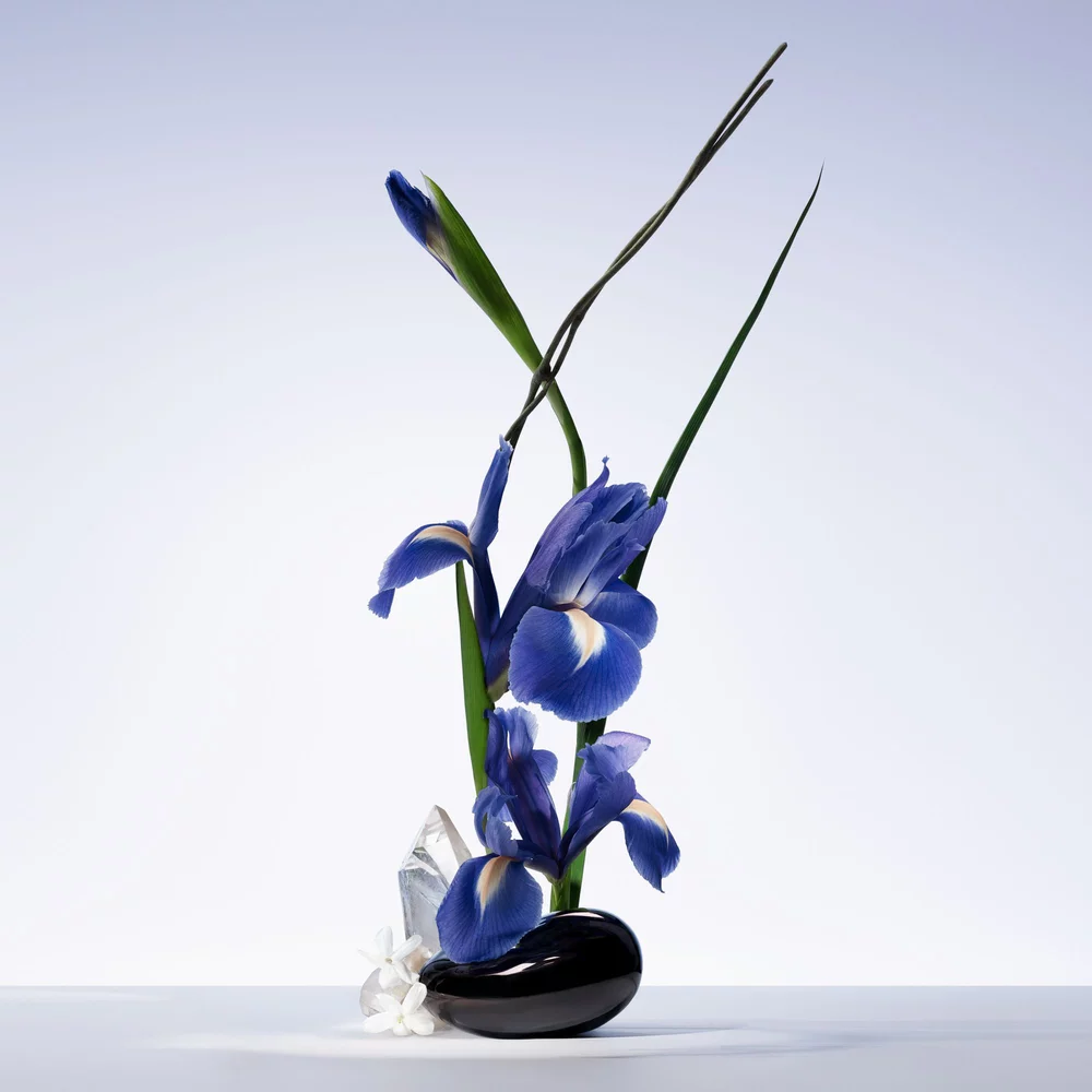 Ikebana showcasing iris flowers and white musk in a dark vase.