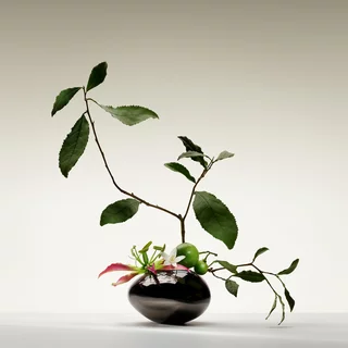 The Yulong