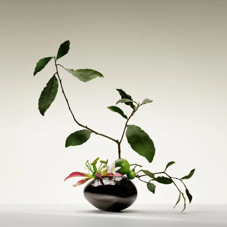 The Yulong