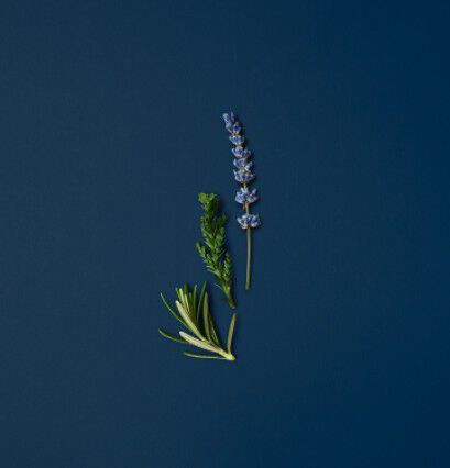 A collection of aromatic essences