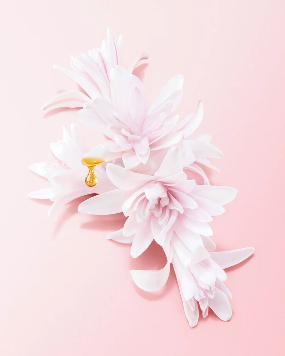 TUBEROSE ABSOLUTE HEART