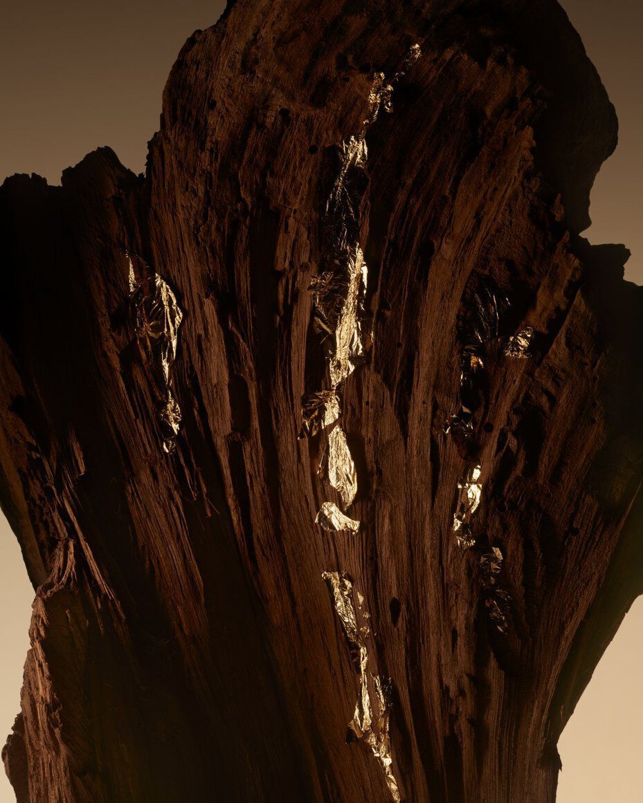 Armani/Prive Oud Royal: sculptural oud wood slice, emphasizing the scent’s rare and precious woody character.