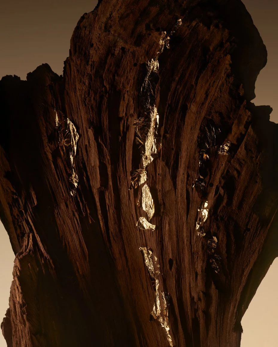 Armani/Prive Oud Royal: sculptural oud wood slice, emphasizing the scent’s rare and precious woody character.
