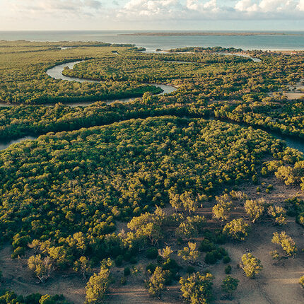 A meandering river surrounded by greenery leads to the sea