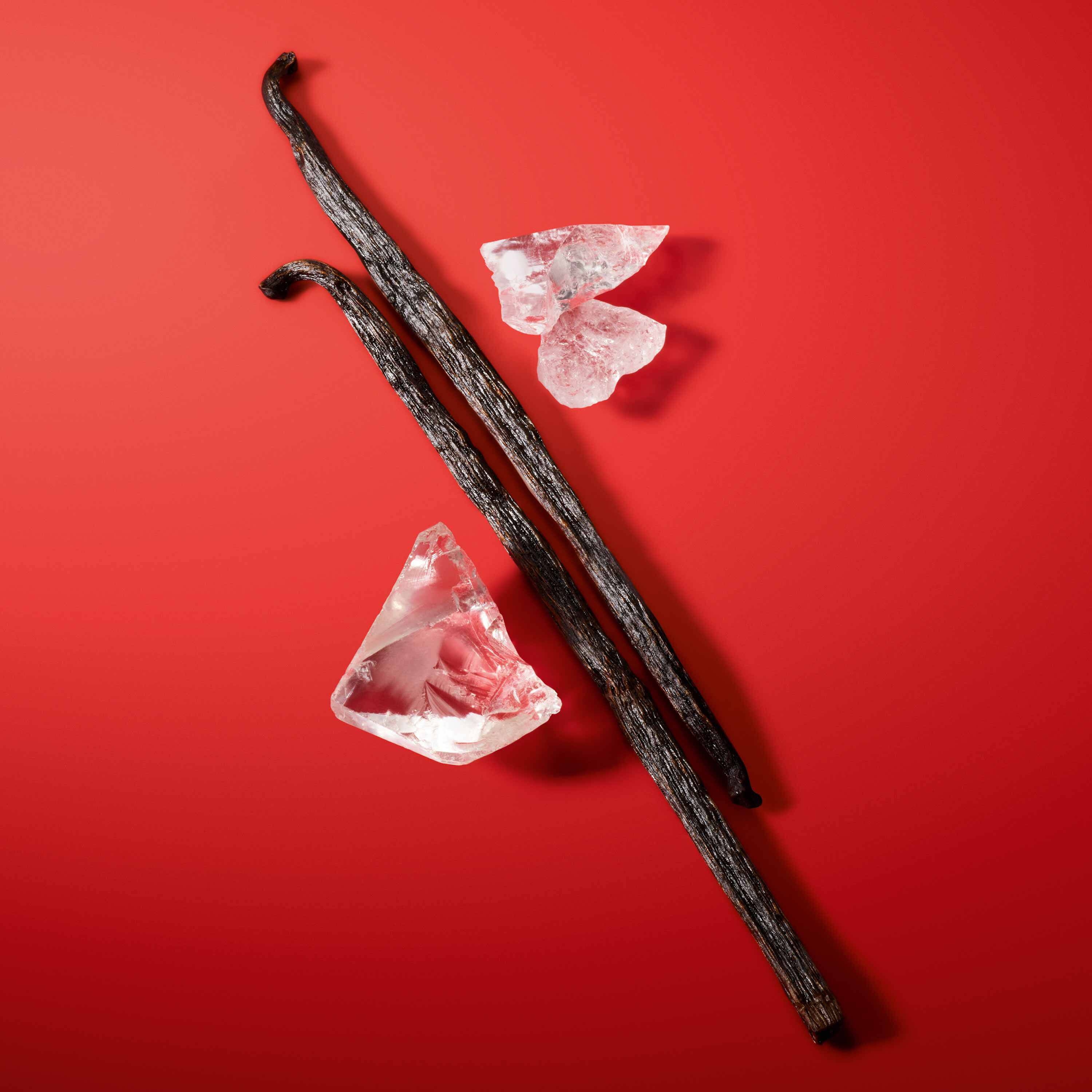 Vanilla and other perfume ingredients on red background