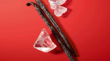 Vanilla and other perfume ingredients on red background