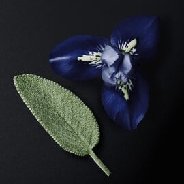 Bergamot Leaf & Iris Flower