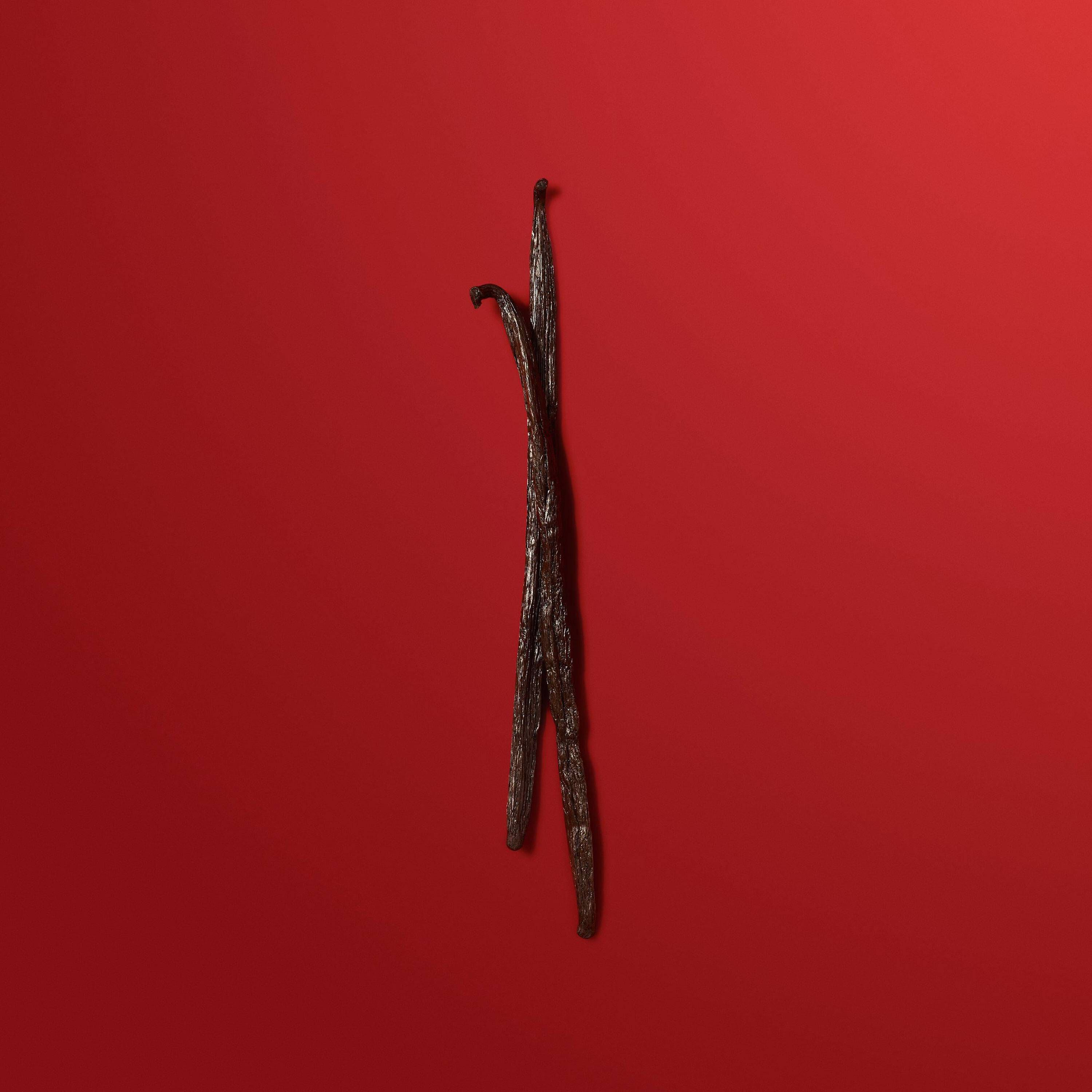 Two vanilla beans on red background