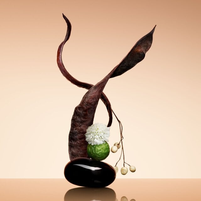 Armani/Prive Santal Dān Shā: sophisticated ikebana composition featuring sandalwood, bergamot, and floral accents, evoking elevated artistry.