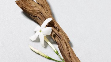 Jasmine, crisp rock rose, and rosemary