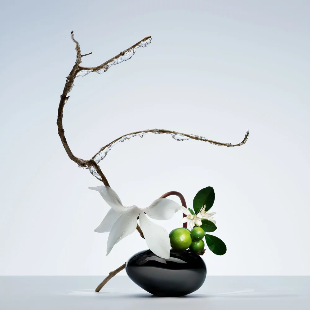 Ikebana-style arrangement featuring an icy branch, delicate white flowers, and vibrant green citrus fruits.