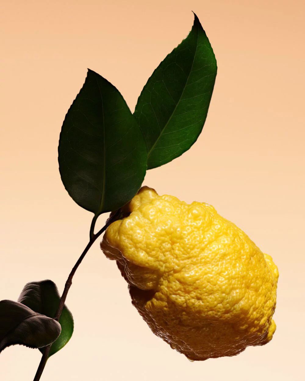 Cedrat fruit and leaves, celebrating a signature note in Armani/Prive Orange Mediterranee.
