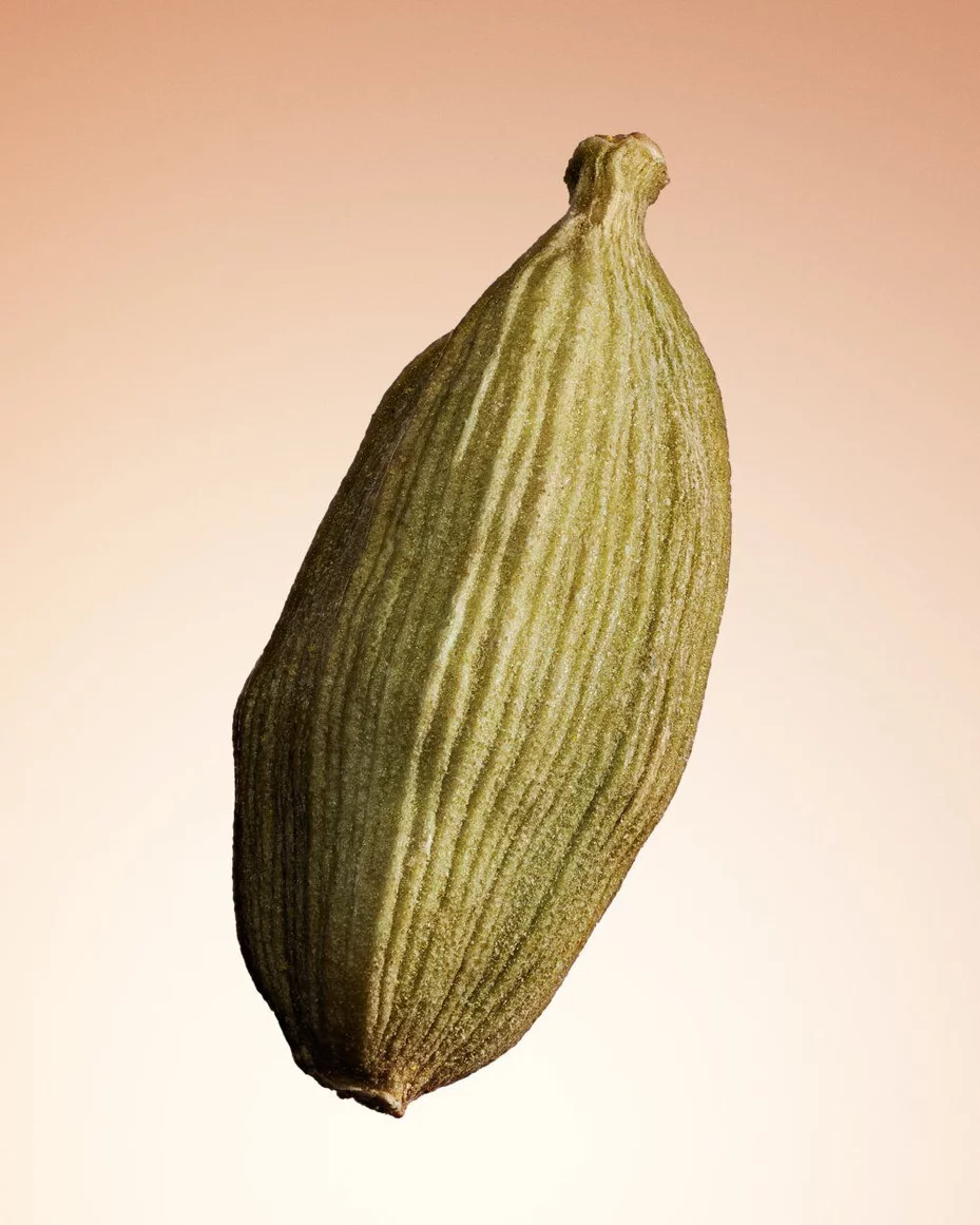 Armani/Prive Santal Dān Shā: close-up of cardamom pod, emphasizing the fragrance’s spicy, sophisticated character.