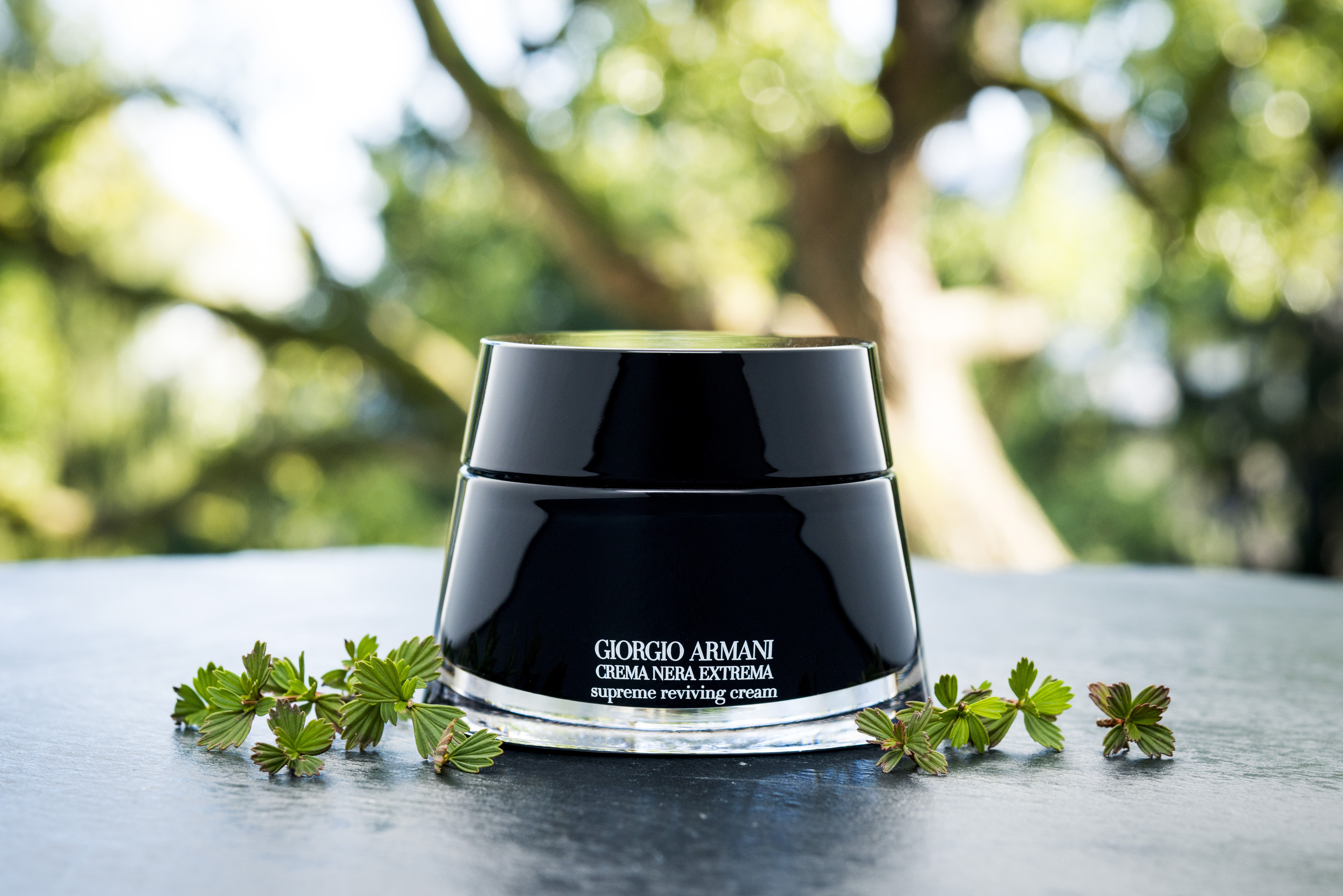 crema nera discovery set