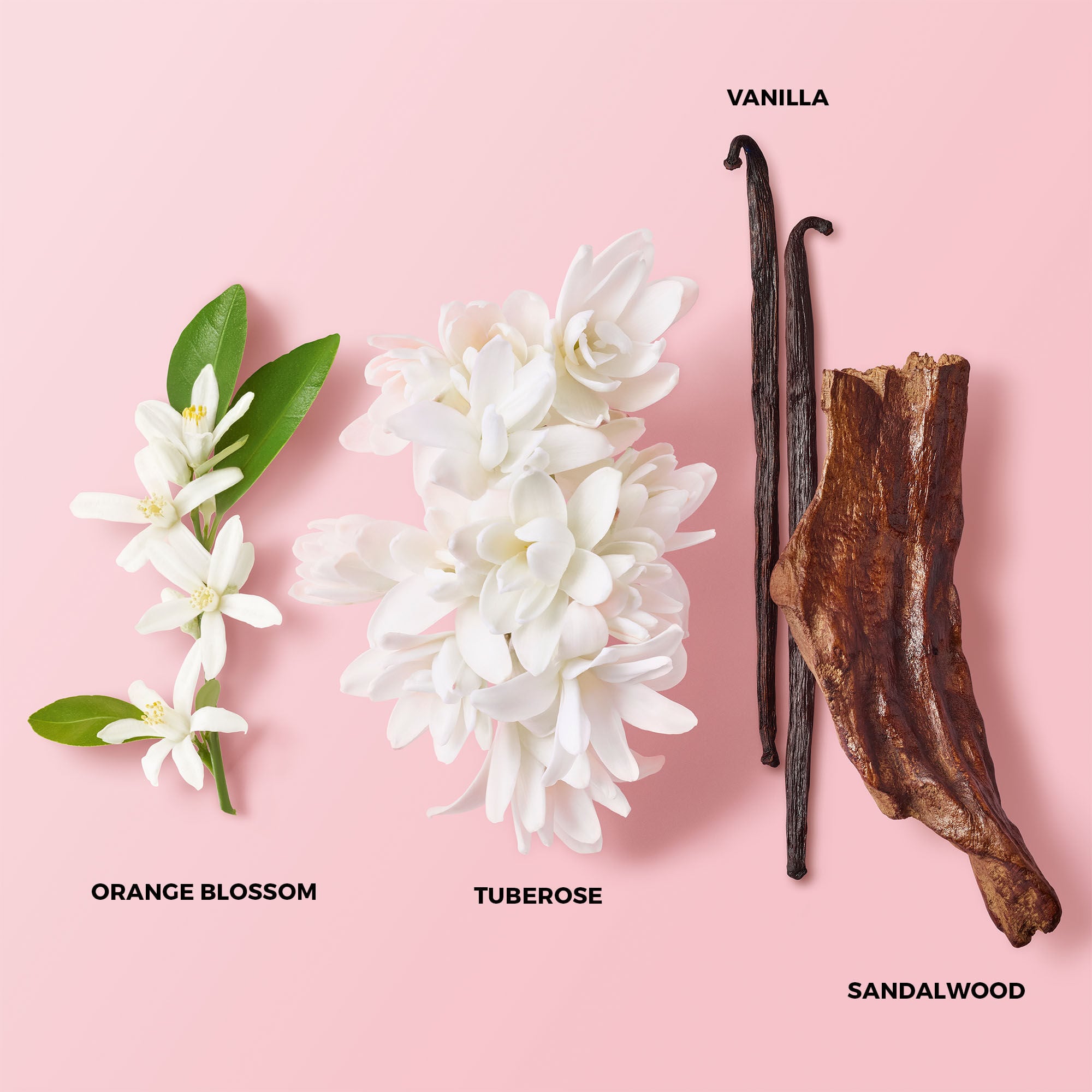 MY WAY EAU DE PARFUM INTENSE