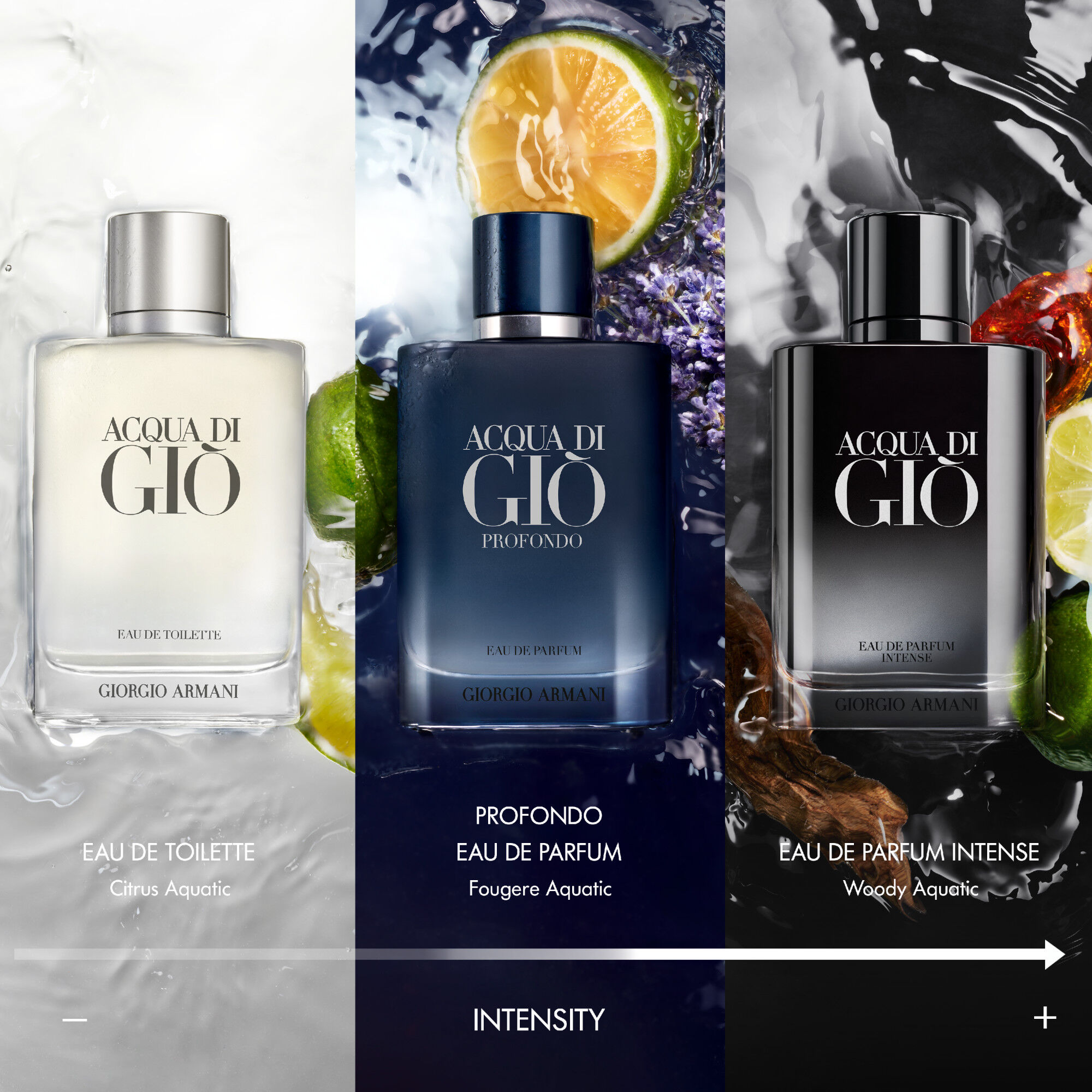 ACQUA DI GIO EAU DE PARFUM INTENSE
