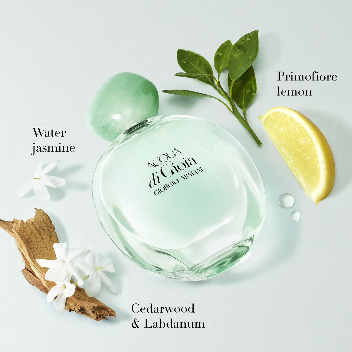 Acqua di Gioia Eau de Parfum 2-Piece Holiday Gift Set
