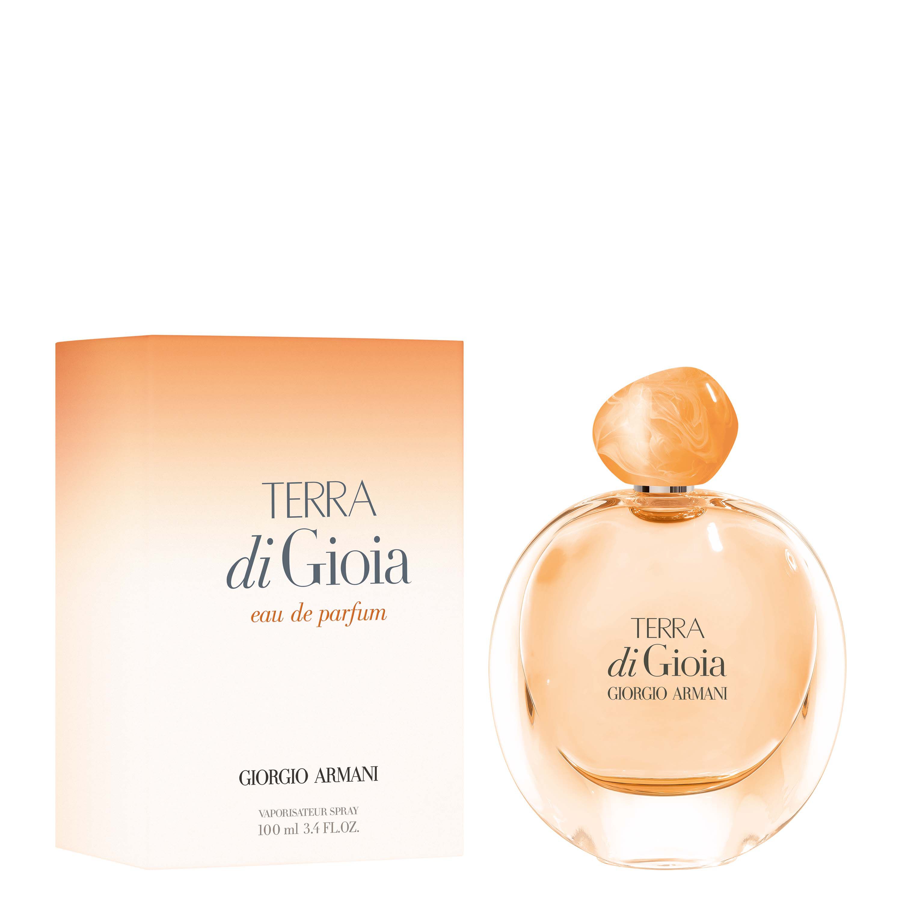 aqua di gio terra