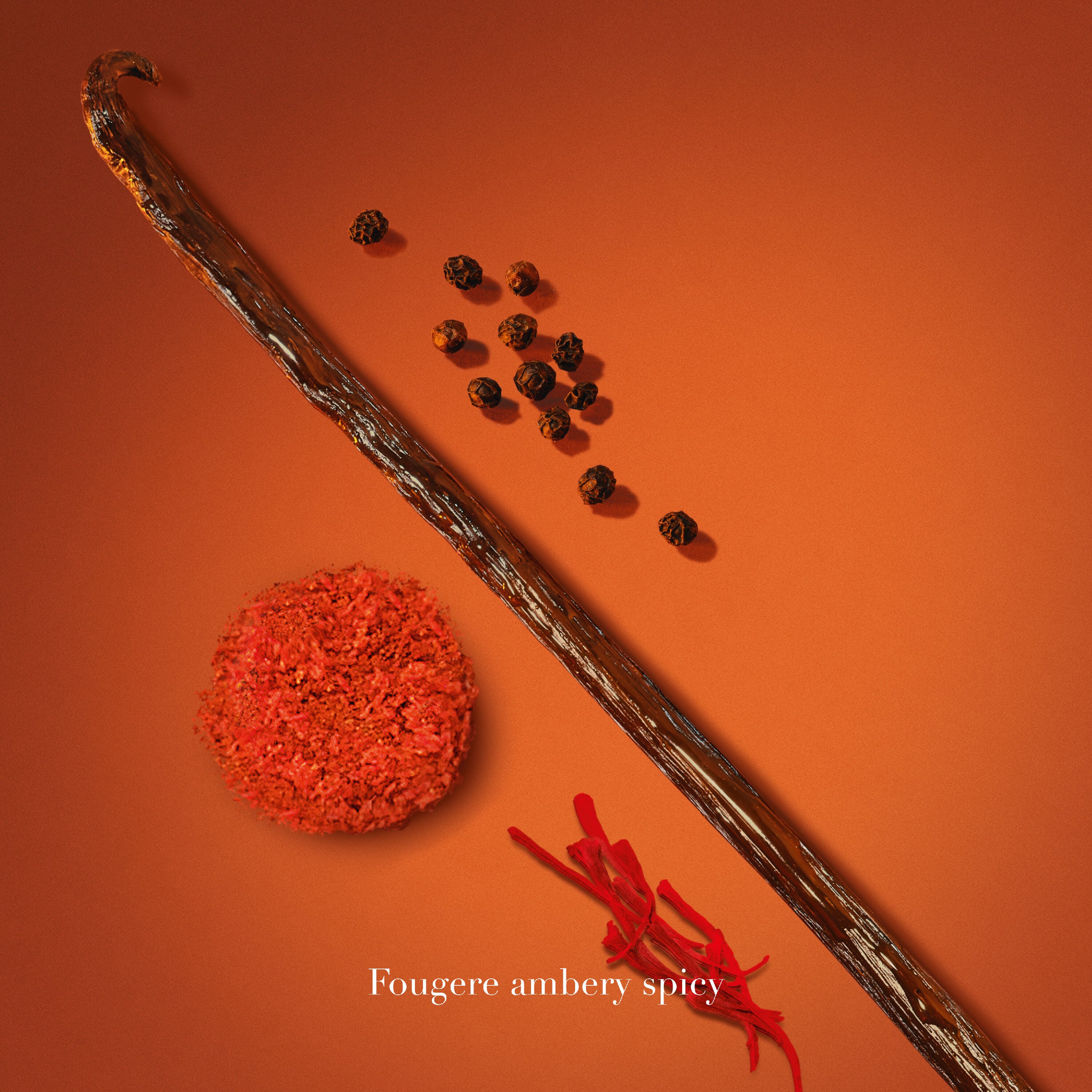 STRONGER WITH YOU SPICES