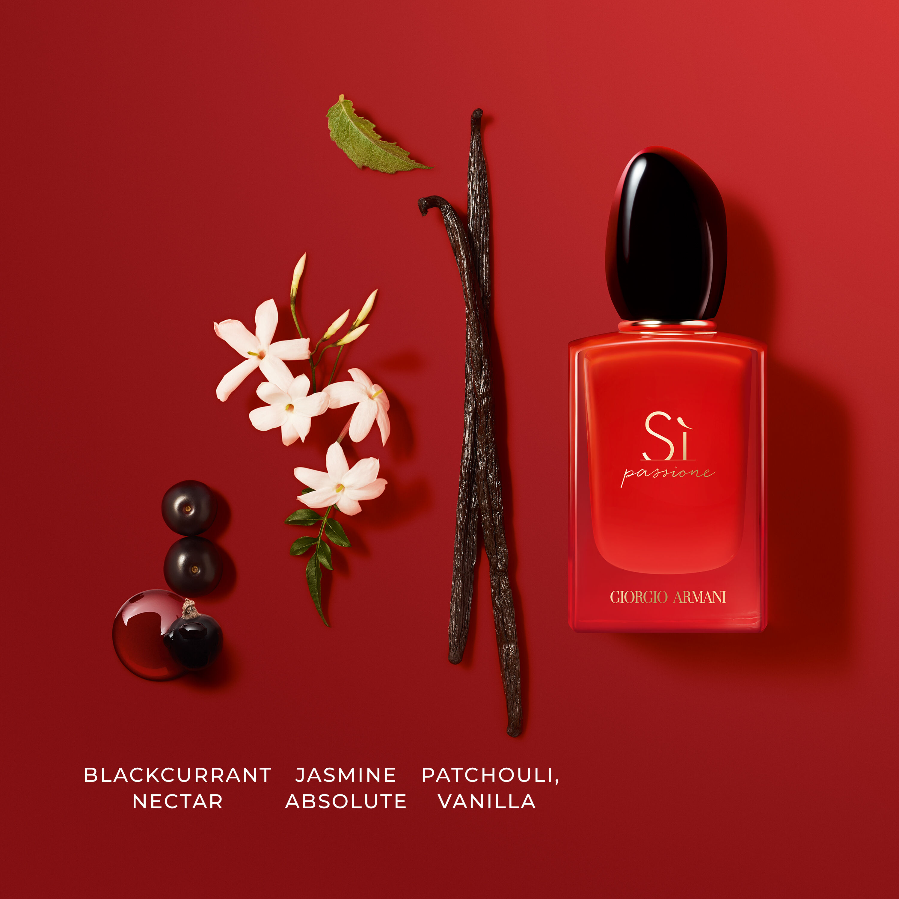 Si Passione Fragrance Giorgio Armani Beauty