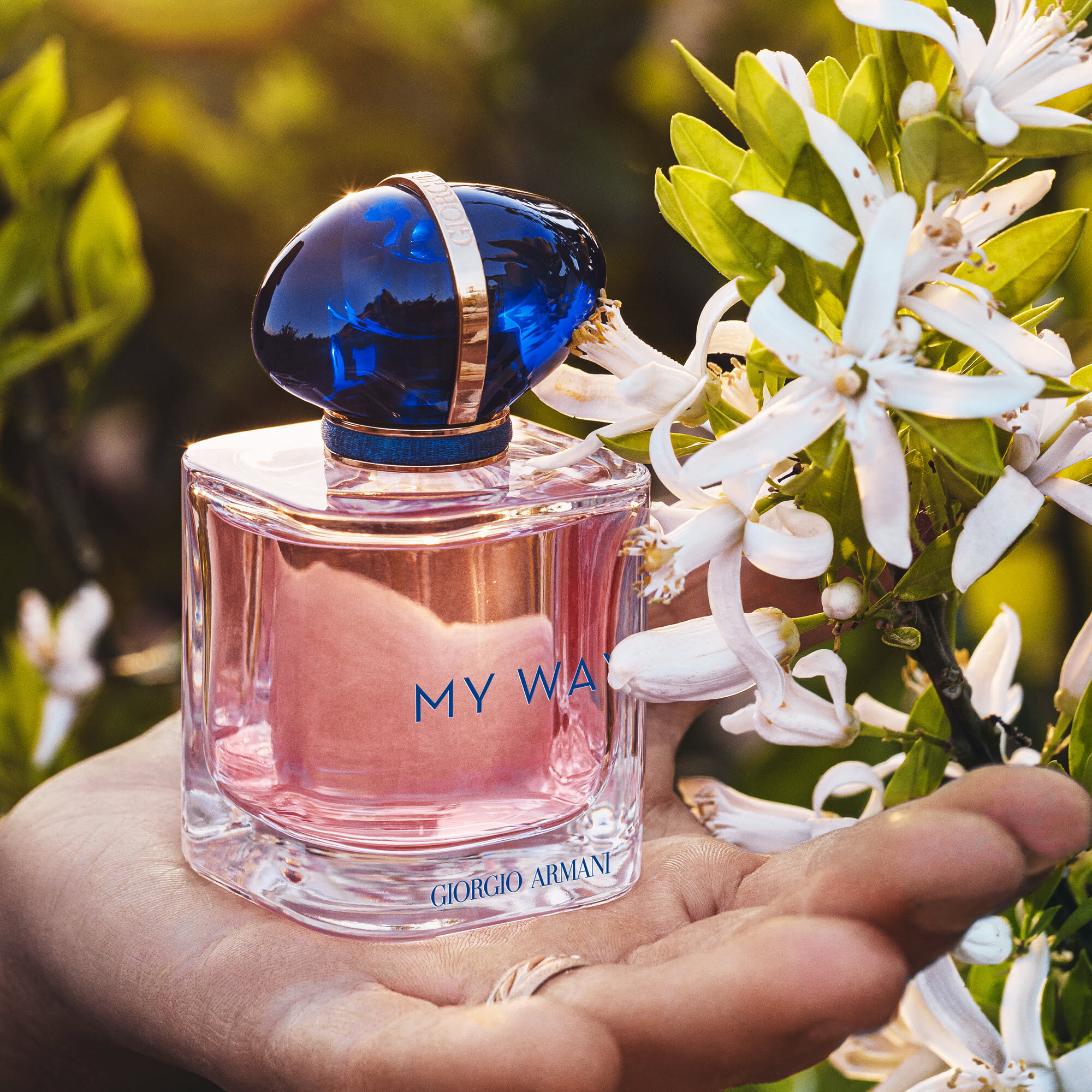 Gift 2025 set parfum