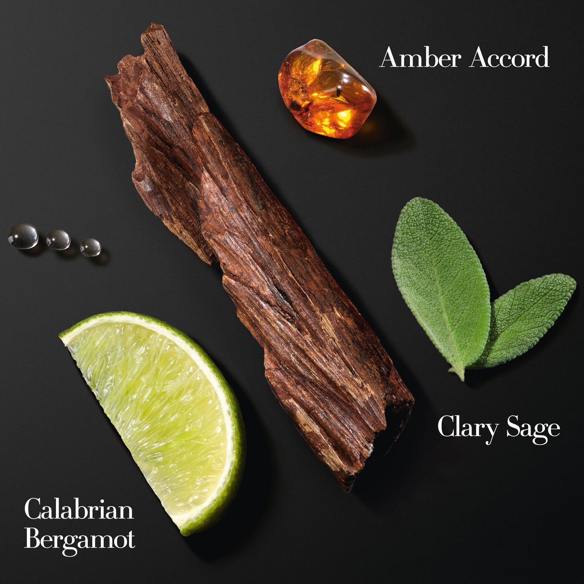 ACQUA DI GIO EAU DE PARFUM INTENSE