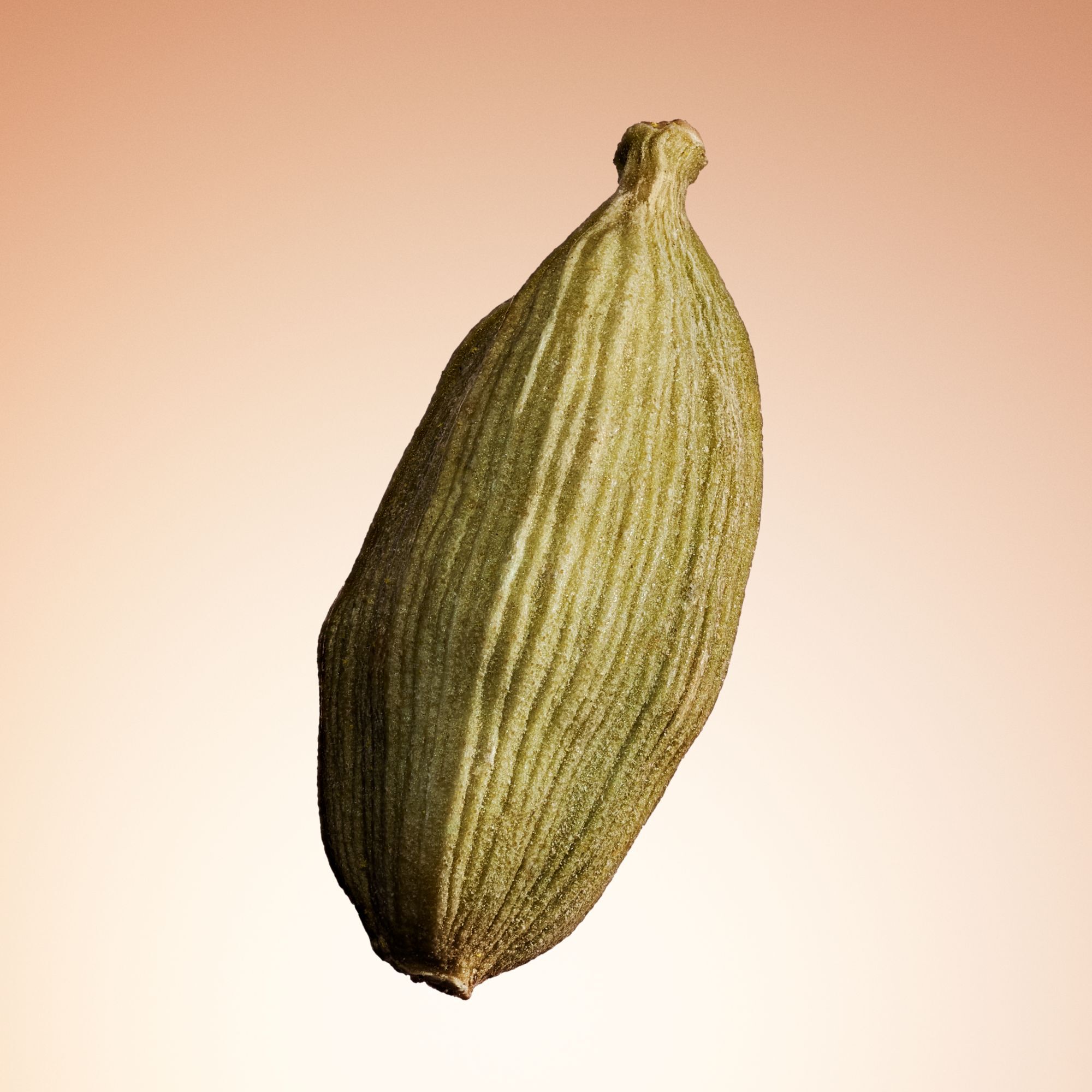 Armani/Prive Santal Dan Sha