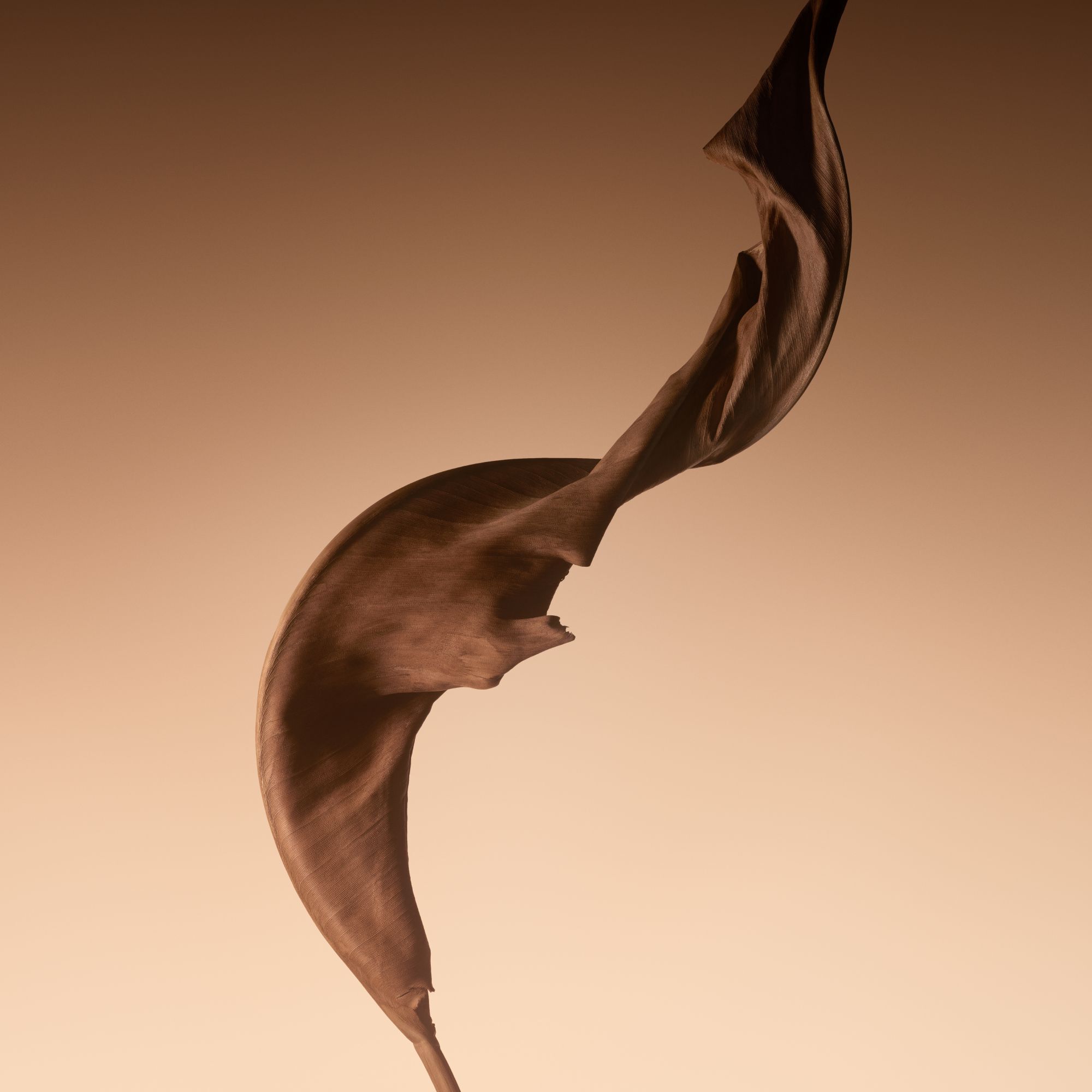 Armani/Prive Santal Dan Sha