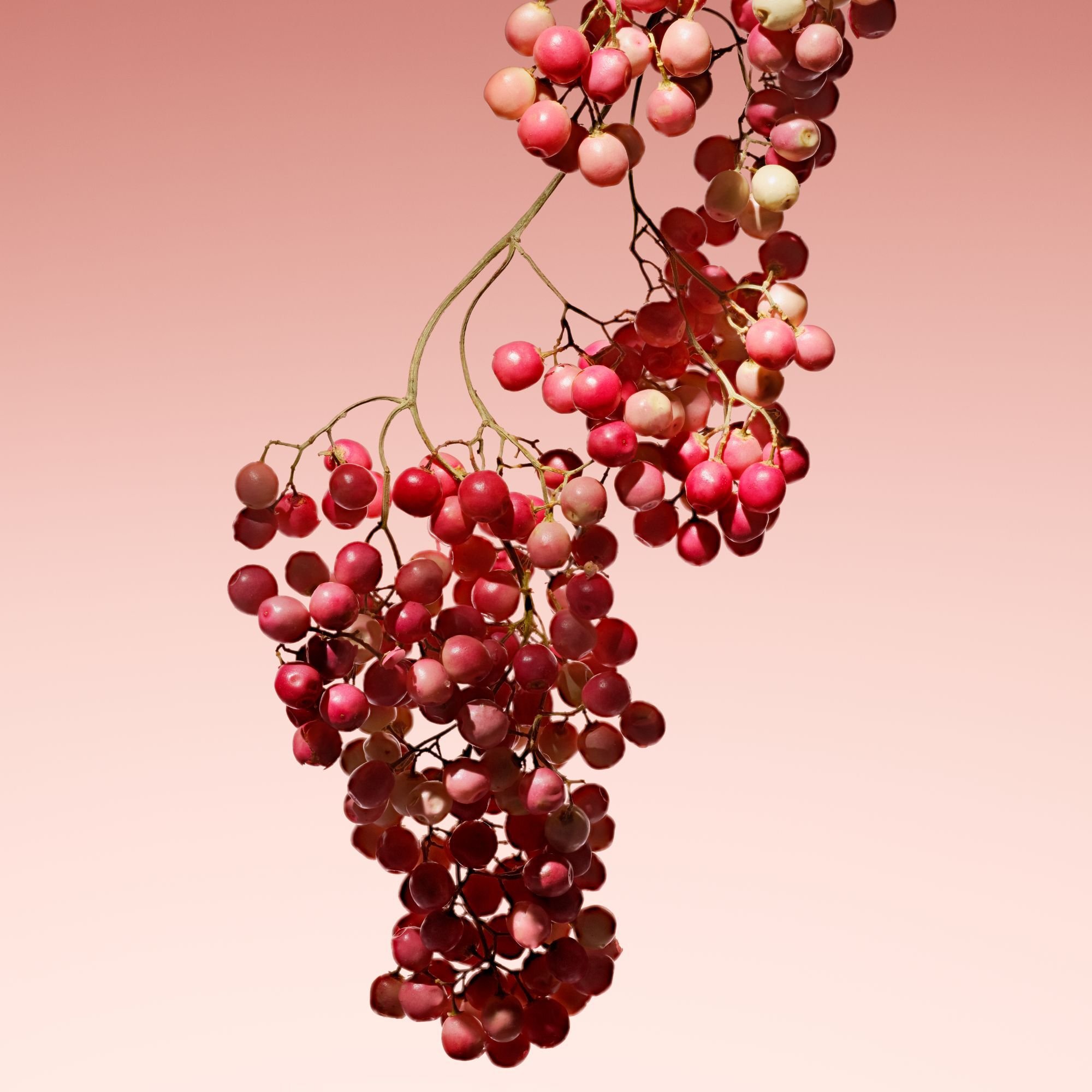 ARMANI/PRIVE ROUGE MALACHITE