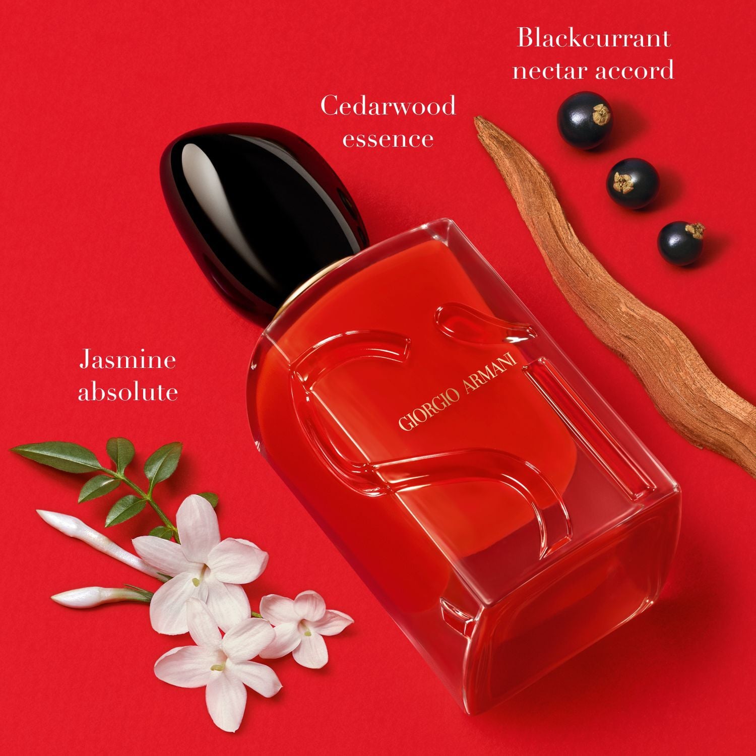 Si Passione Eau de Parfum