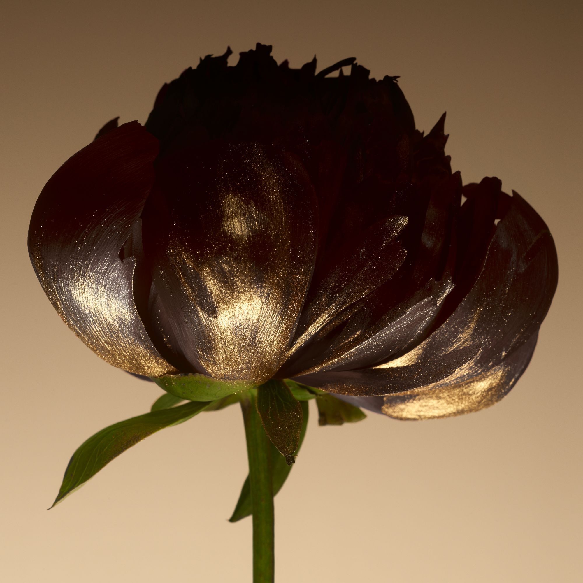 ARMANI/PRIVE Oud Royal