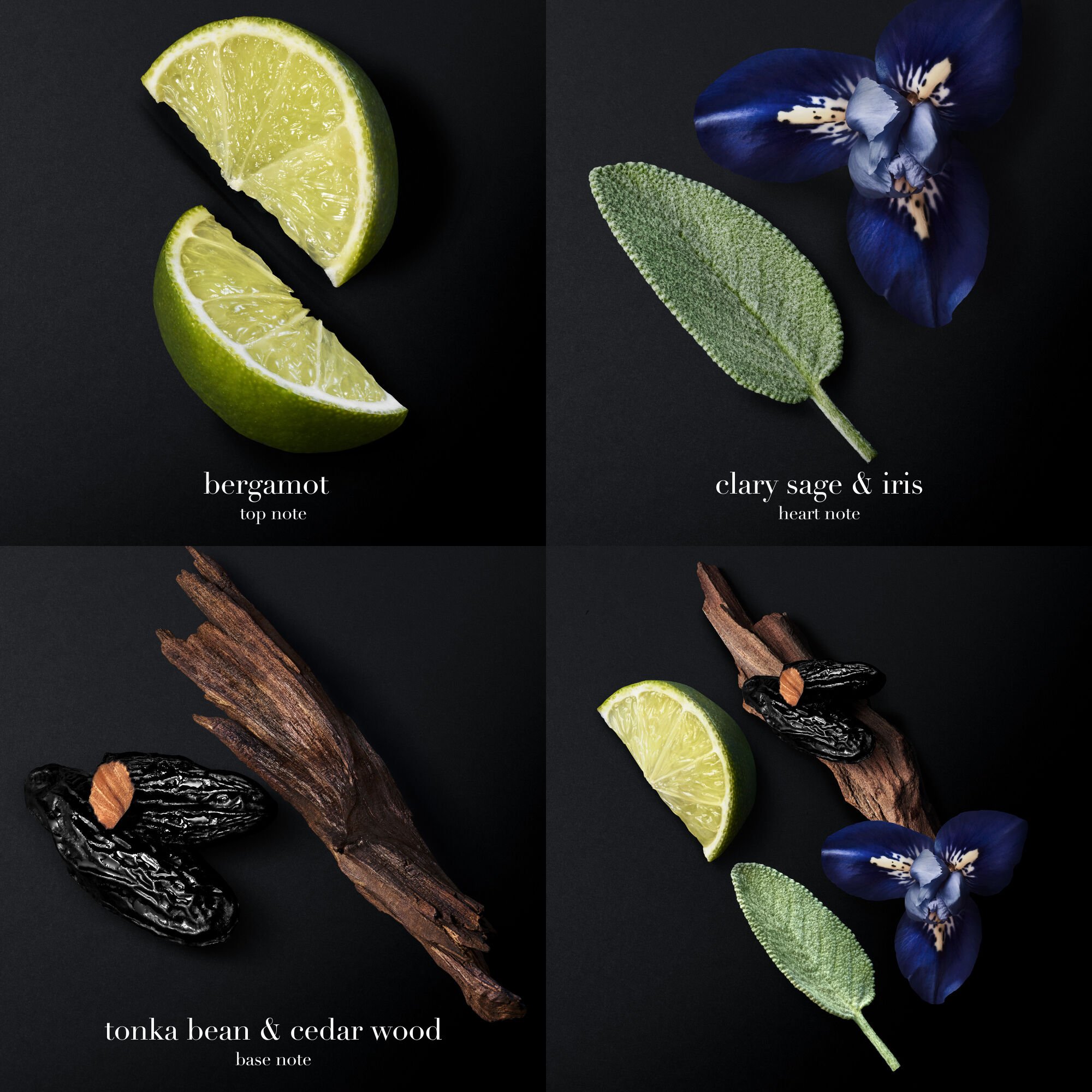 Armani code fragrance notes store
