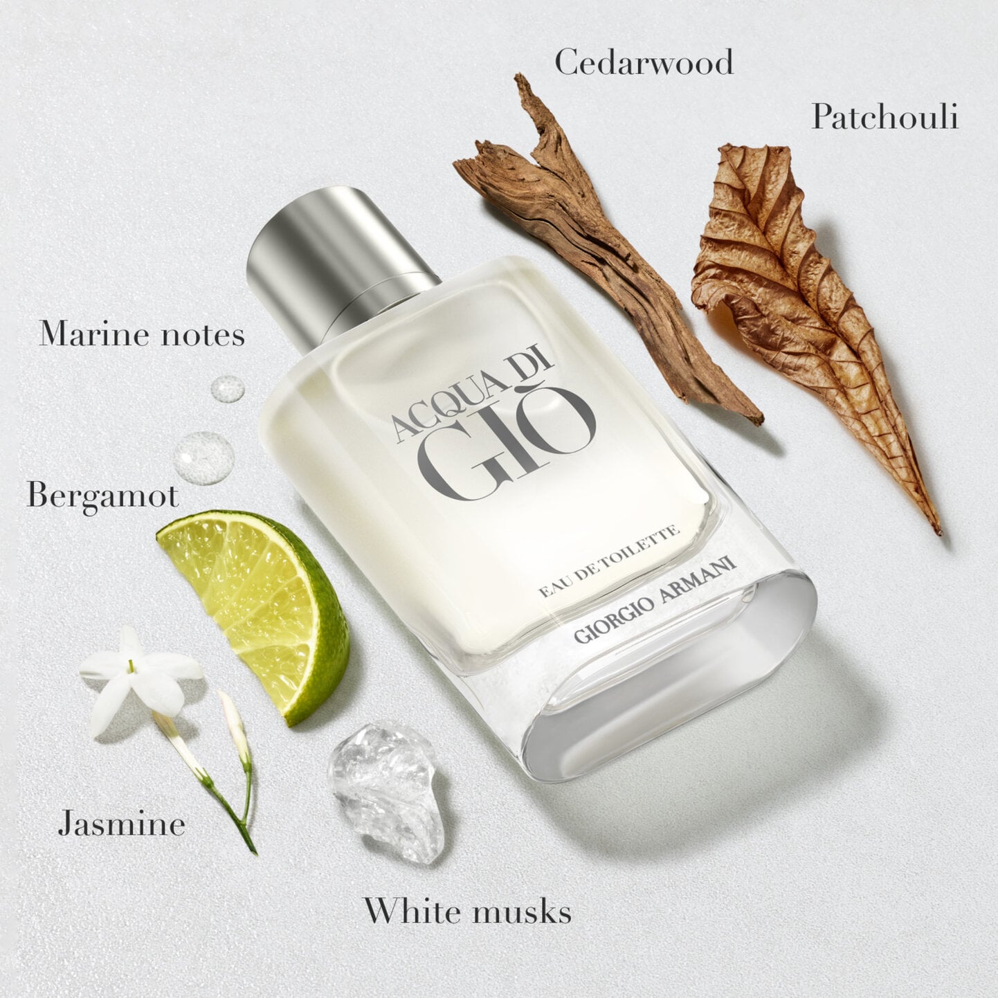 Armani Acqua di Gio Homme Eau de Toilette 100 ml photo 2