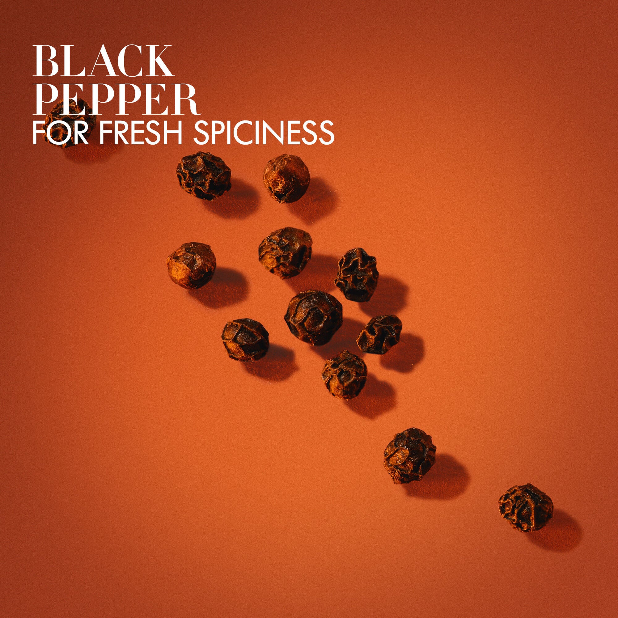 STRONGER WITH YOU SPICES