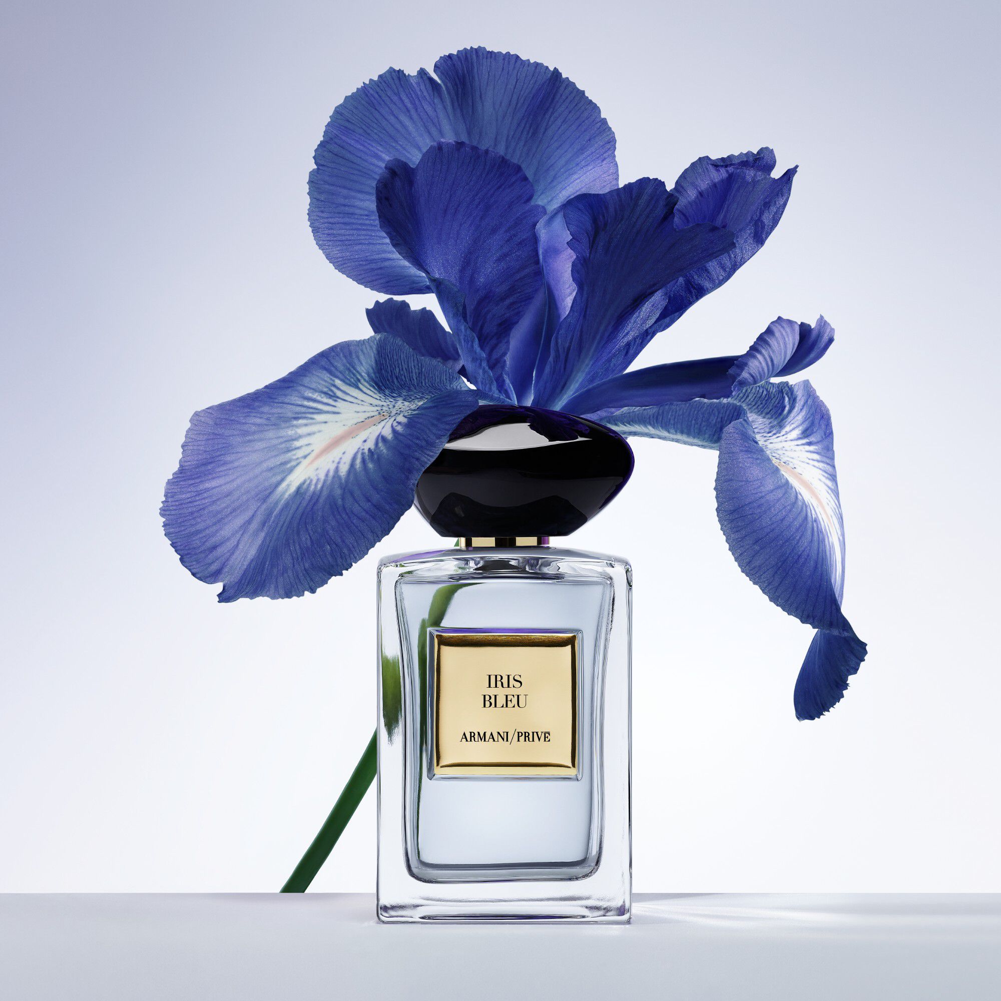 登場! Armani/Privé Iris Bleu Eau de Toilette 香水(ユニセックス)