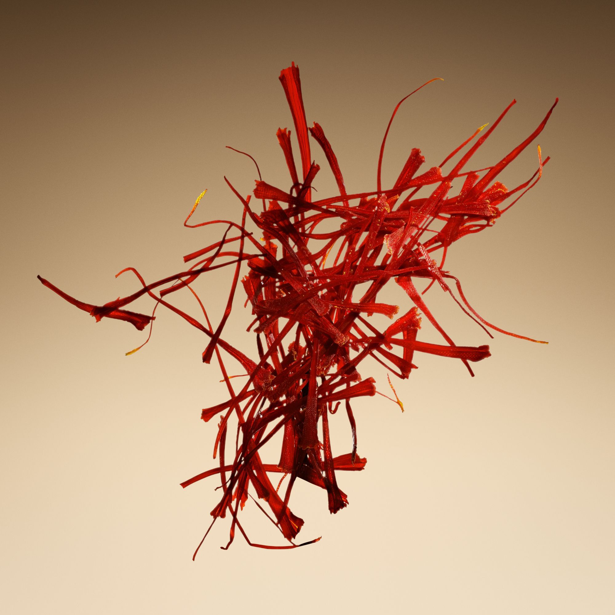 ARMANI/PRIVE Oud Royal